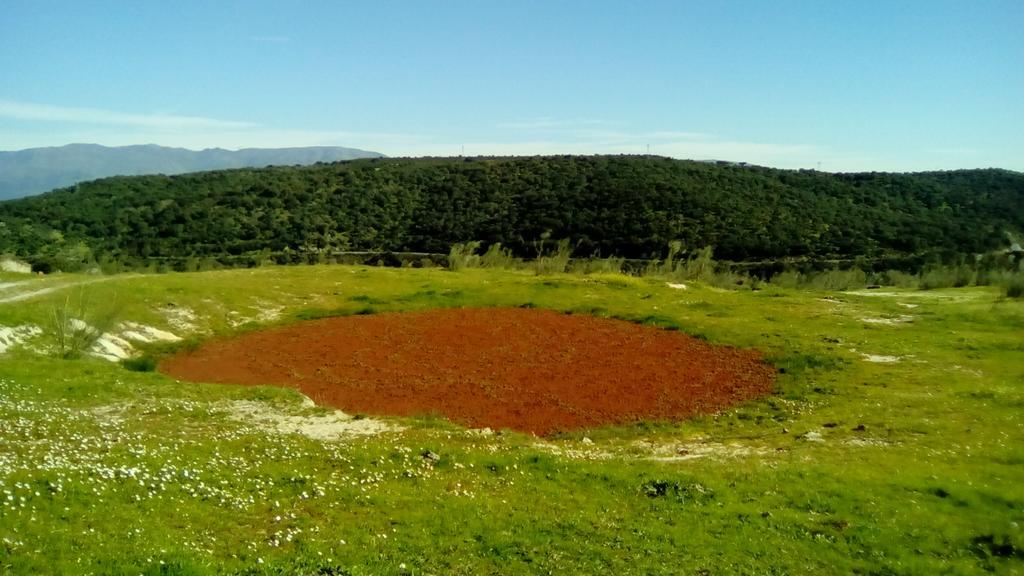 Apartamento O Casa Rural Roquemar Guijo de Granadilla Eksteriør billede